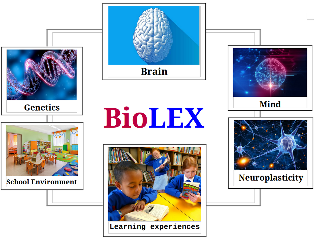 BioLEX Framework Diagram
